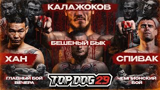 Russian Bare Knuckle | Kalazhokov VS Mad Bull, Khan VS Spivak | Main Event | TOP DOG 29