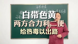 白带色黄，肝经湿热，两方合力利二便，给毒邪以出路