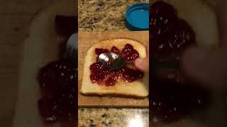 PB and J Sandwich