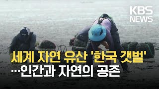 [Deep] 한국의 갯벌 / KBS 2021.09.25.