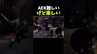 【ArenaBreakout】AEKが火を吹いているw【アリーナブレイクアウト】 #shosts