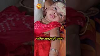 ଶ୍ରୀମନ୍ଦିରରେ କାଳିଆର କୁନି ସେବକ #shortsfeed #shortfeed #shorts #short #shortvideo #Shortsvideo