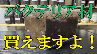 かなり面倒なバクテリア材作りを解決！良質なバクテリア材を購入する方法は…