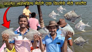 बाणकोट खाडीत जाल्याला भेटले एक किलोचे मोठे पापलेट 🐟😍#paplet #pomfretfish #fishing #netfishing