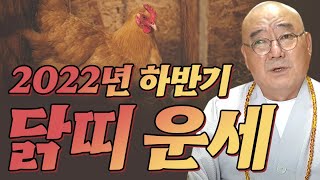 2022년 하반기 닭띠운세🐔 30세 42세 54세 66세 78세 중 가장 대박나는 나이는? [경남점집 무심법사]