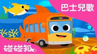 鯊魚巴士 | 巴士兒歌   | 碰碰狐PINKFONG