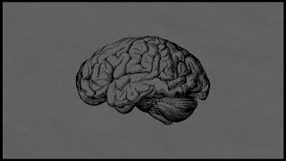 The Szondi Test