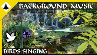Background Music 🎶 Birds singing near a River for you 🐦Healing mental Health🩹 30 Minute Meditation