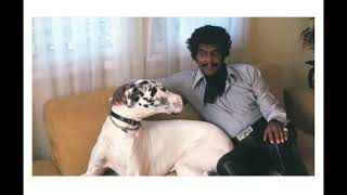 Durealla Du Fontaine (Part II) by Iceberg Slim from Reflections