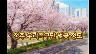 240406 청주우리족구단 벚꽃 정모