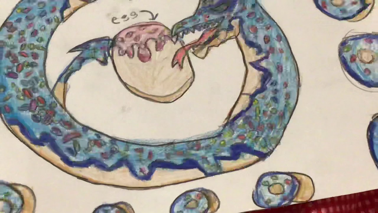 My Doughnut Dragon Art Inspired By ZHC - YouTube