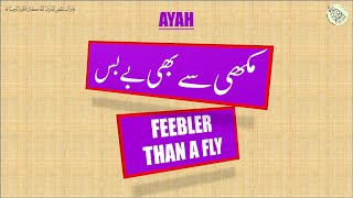 Feebler than a fly?- (Tafseer Surah Al-Hajj, Ayah 73 in Urdu, Friday 21/08/2020)
