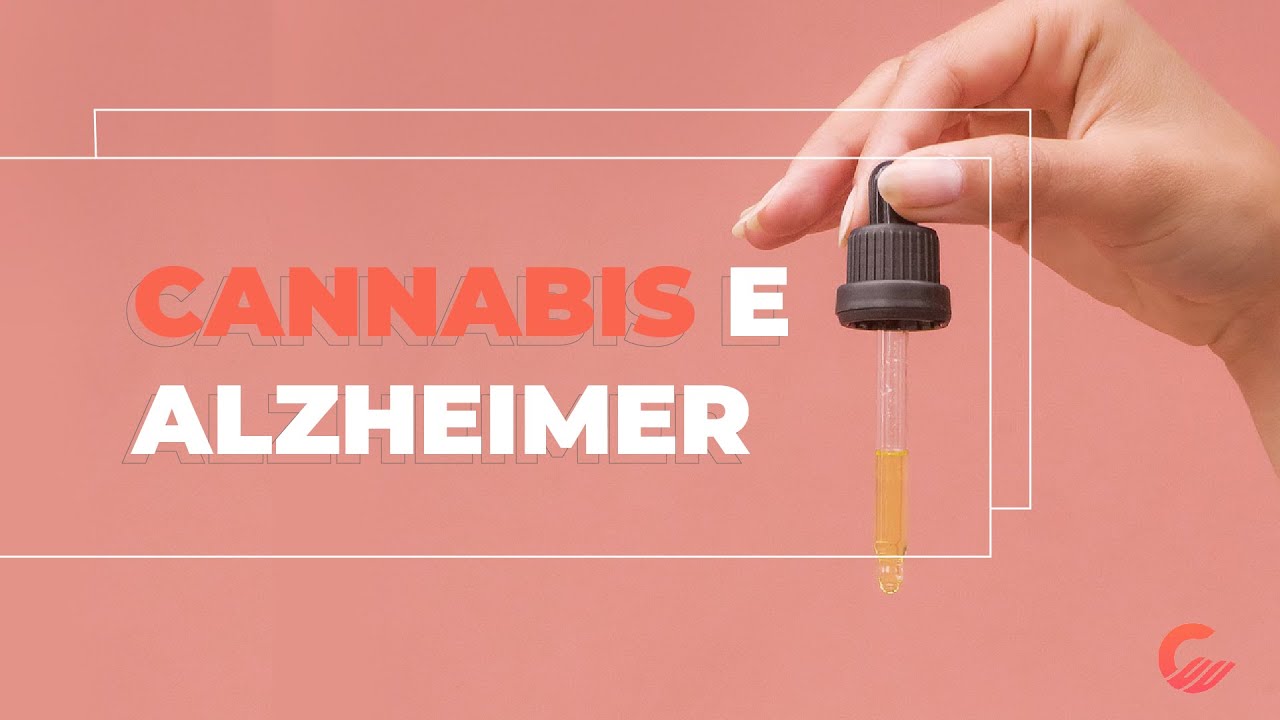 É POSSÍVEL TRATAR ALZHEIMER COM CANNABIS? - Canabinologia - YouTube