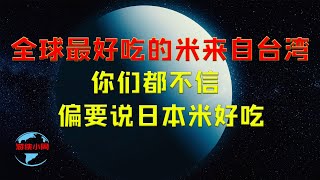 【游侠小周】全球最好吃的米来自台湾，你们都不信，偏要说日本米好吃