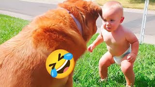 😂🔥😂Funny Videos | Best Funny Videos of the Week | Funny Videos Compilation | Funny @ScutiSmile