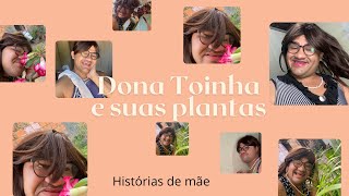 Dona Toinha e suas plantas / histórias de mãe