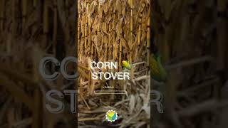 ARTi - Corn Stover Biochar