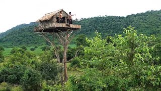forest survival house |Building wood survival shelter in wildlands |