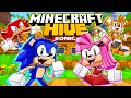 😱 Sonic in MINECRAFT!?  - Sonic & Amy Squad Play MINECRAFT The HIVE!