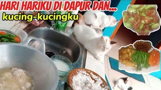 HARI HARIKU DI DAPUR,,,DAN KUCING-KUCINGKU 😻