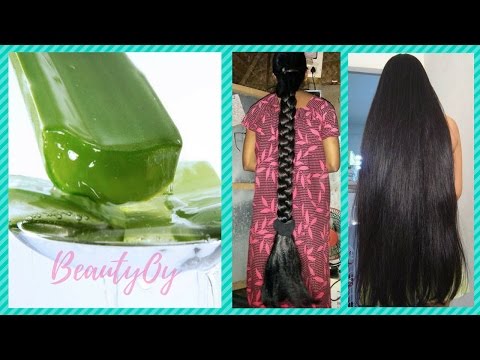 How To Use ALOE VERA For Hair Growth How To Use ALOE VERA For Hair Growth