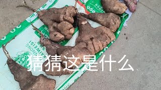 我们居住小区的农贸市场，物价与市场价格相同，买东西很方便。