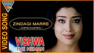 Vishwa the Heman Hindi Dubbed Movie || Zindagi Marre Video Song || Eagle Hindi Movies