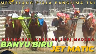 JET MATIC Feat BANYU BIRU | Persiapan Karapan Sapi PIALA PANGLIMA TNI