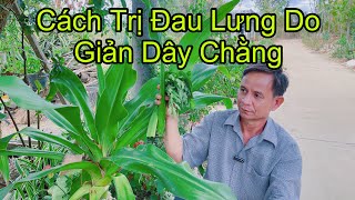 Bài Thuốc Chữa Giản Dây Chằng Cơ Lưng Và Đốt Sống, Đau Lưng Cực Kỳ Hiệu Quả