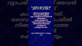 Al-baqara(ayat-169)#islamicshorts #shortsfeed #qurantranslation #love #malayalam #unfrezzmyaccount