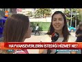 hayvanseverlerin seçim beklentisi atv haber 16 mayıs 2019