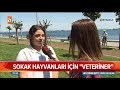 hayvanseverlerin seçim beklentisi atv haber 16 mayıs 2019