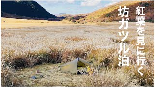 坊ガツルテント泊⛺️くじゅう連山の大船山の朝焼け見に行ったけど紅葉終わってる🤣