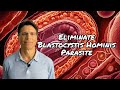 Blastocystis Hominis Parasite Impact on Gut, Thyroid, and Skin Health