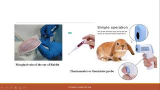 Demonstration of test for pyrogens by Rabbit method Part-1