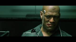 Matrix, A Perfect World