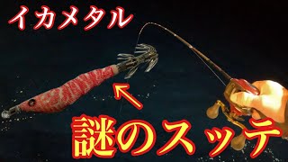 釣れすぎ注意⁉︎名前も分からない謎のスッテで爆釣を味わいました！【イカメタル＆オモリグ】