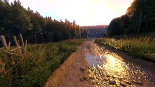 [4k] Kingdom Come Deliverance Rudy Emb + Reshade Extreme Photorealism Forest/Graphics Ever? RTX 3090