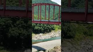 秘境【十津川村】恐怖谷瀬の吊り橋　谷瀬つり橋　恐怖　渡ってみた　スリム満点　絶景　谷瀬のつり橋