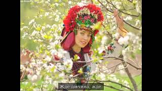 Kvitka Cysik - Квітка Цісик - Черемшина  Cheremshina - Ukrainian. English lyrics