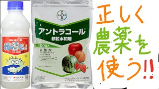 【農業】家庭菜園必見、農薬を安全に使う正しい知識と薬液の作り方。