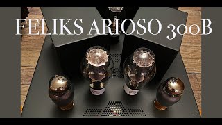FELIKS 300B integrated amplifier, luxury sound from Poland