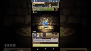 【パズドラ】ハヌマーン降臨！ 劉備 ゲスト側サブガチャ限無し ワンパン周回