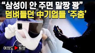 [여의도튜브] “삼성이 안 주면 말짱 꽝” 덤벼들던 中기업들 ‘주춤’ /머니투데이방송