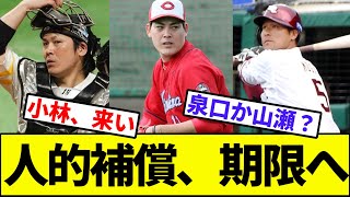 【やはり一番注目は甲斐か】人的補償、期限へ【なんJ反応】【なんG反応】【プロ野球反応集】【2chスレ】【5chスレ】【九里】【茂木】【小林】【泉口】【山瀬】【FA】