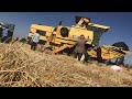 new holland 8040 jordan husban harvest 2020