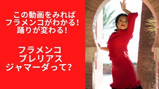 【今さら聞けない】ジャマーダについて解説！