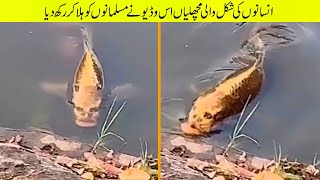 نا قابل یقین لمحات جو کیمرے میں ریکارڈ ہو گے | Moments That Can't be Repeated in History