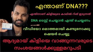 എന്താണ് DNA?? എന്തിനാണ് തത്തയുടെ കാലിൽ റിങ് ഇടുന്നത്?? തുടക്കകാരുടെ സംശയങ്ങൾക്കുള്ള മറുപടി