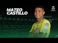 Mateo Castillo ► Amazing Skills, Goals & Assists | 2024 HD